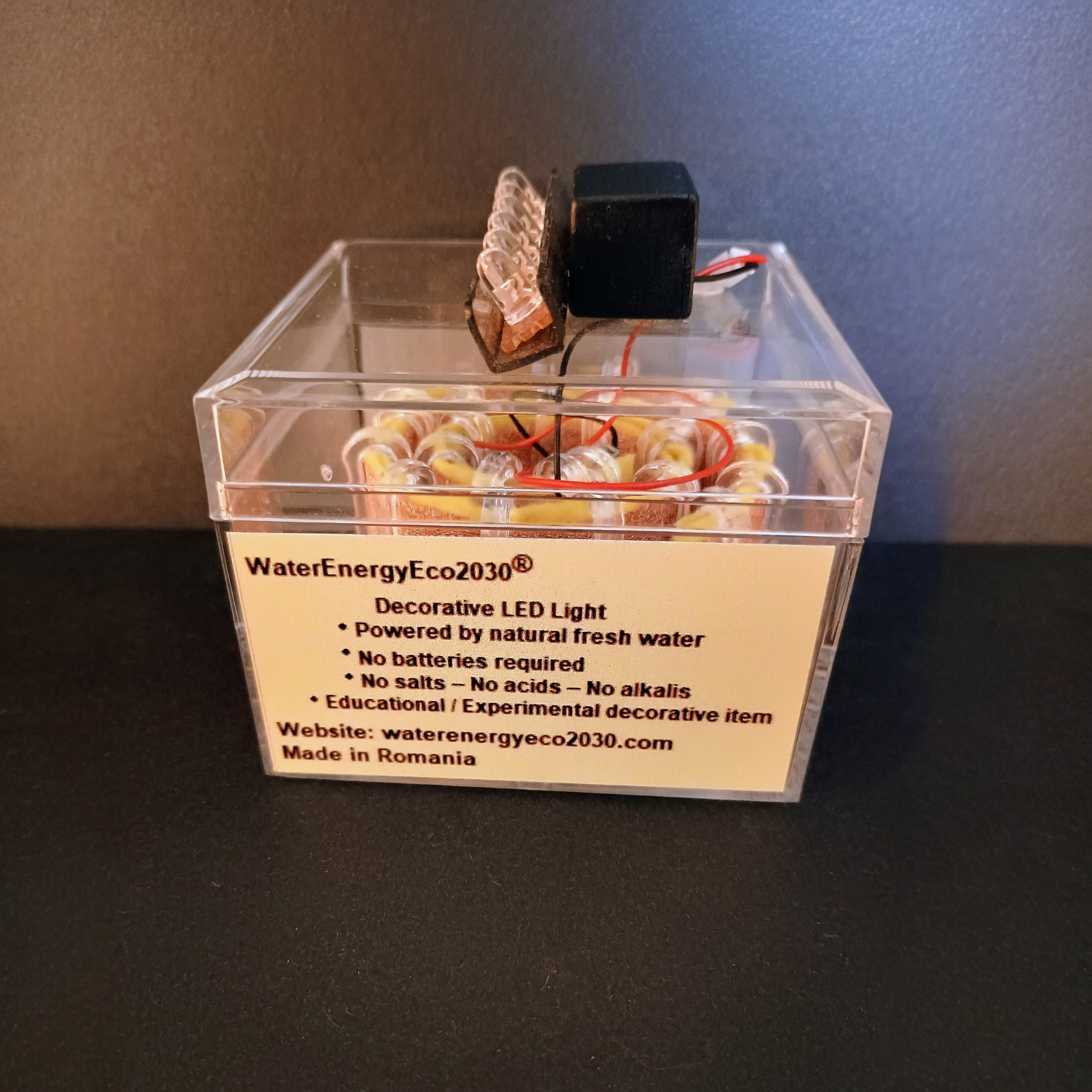 Interior – coil and electrodes