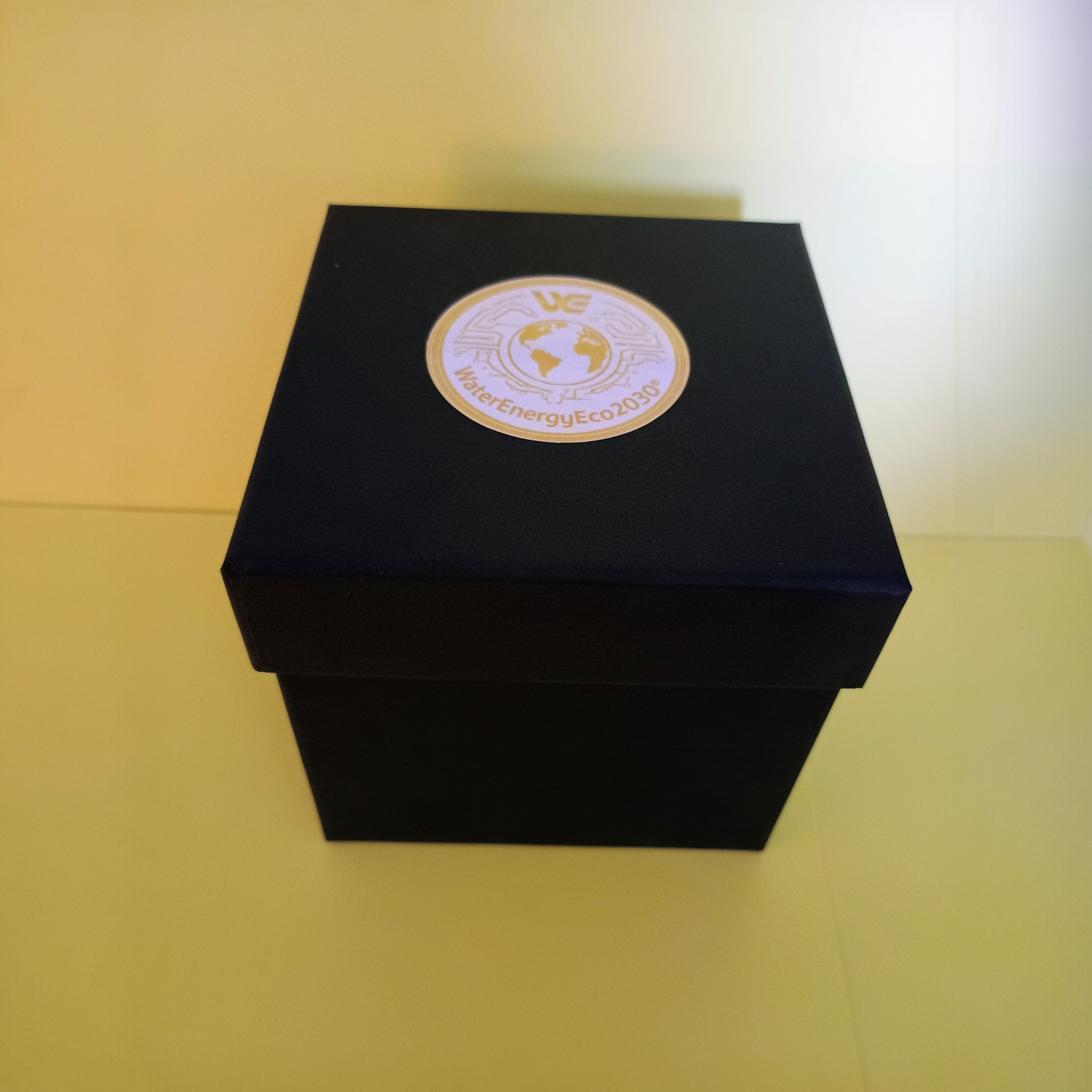 WaterEnergyEco2030 presentation box